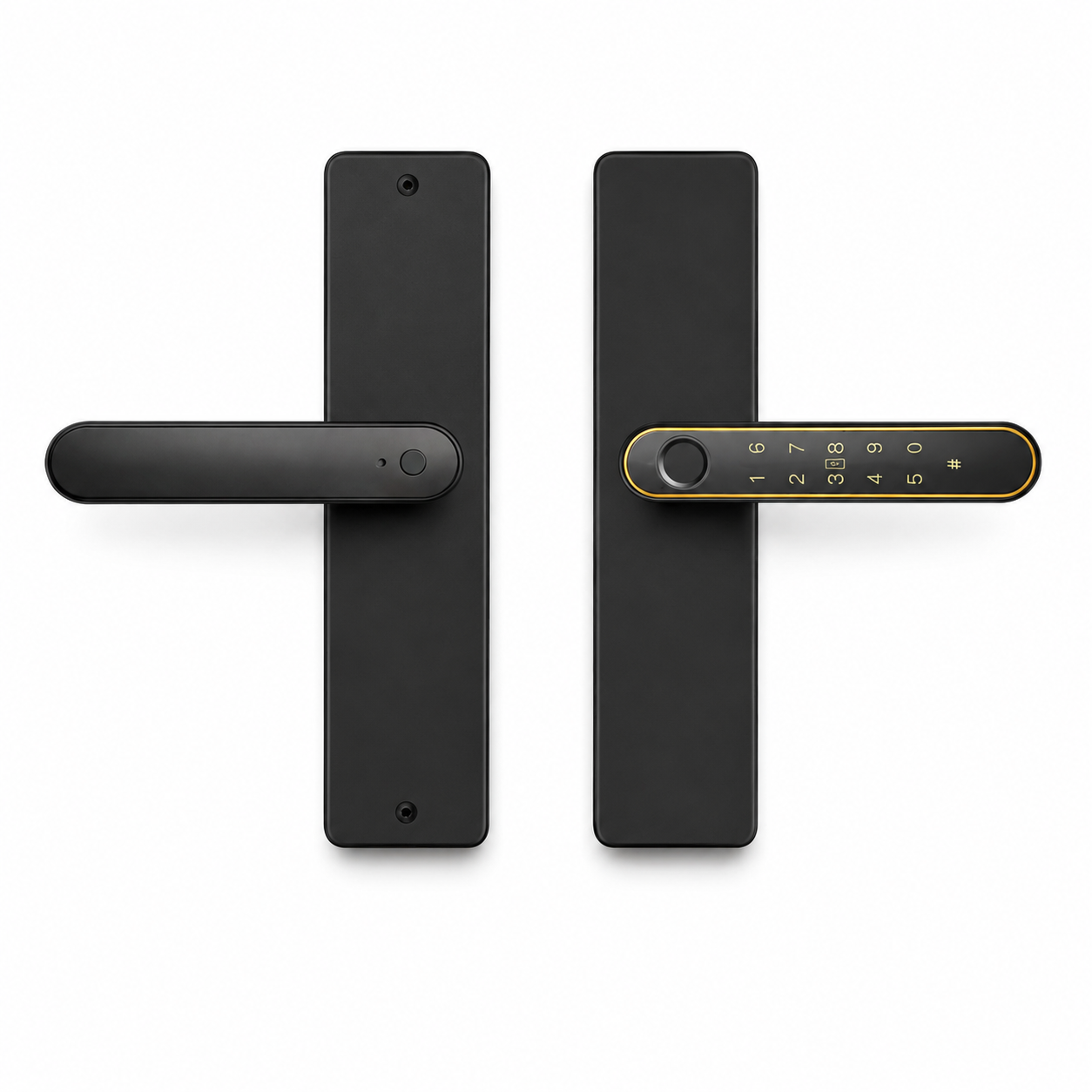 HS-pldL198 B2B smart lock product view